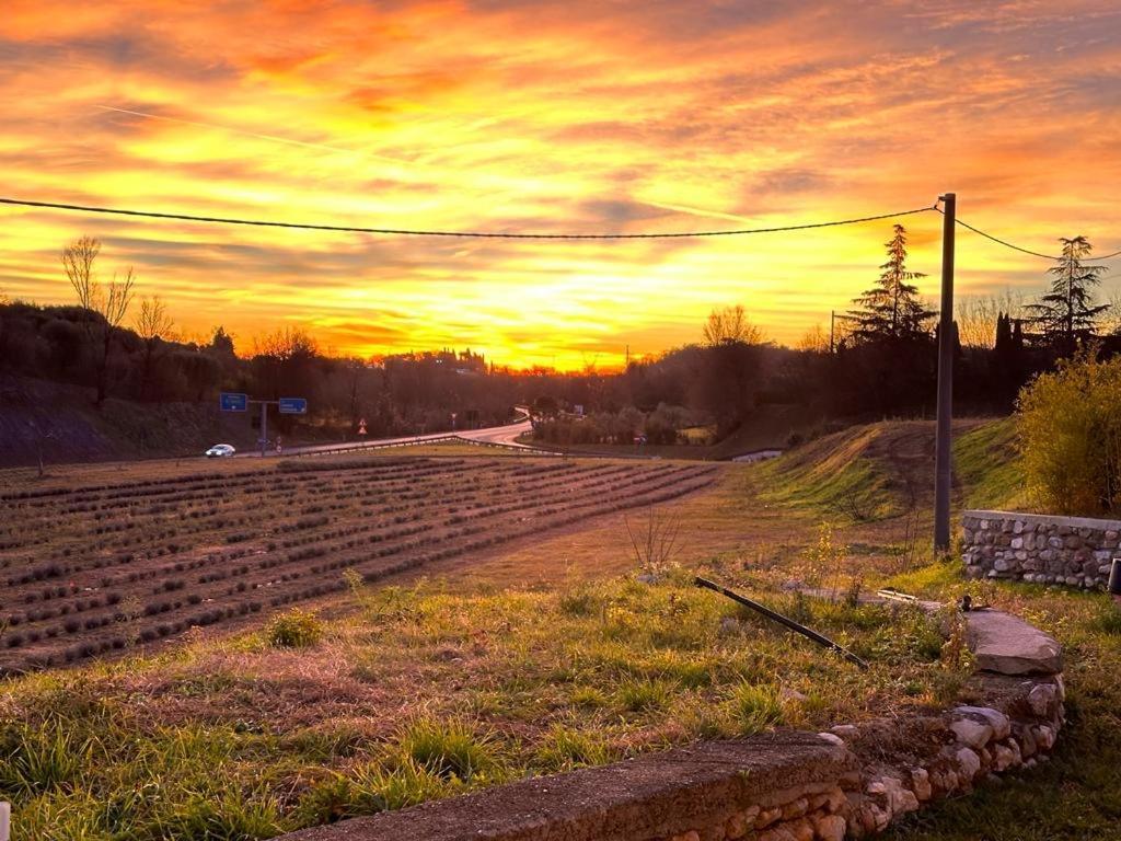 Agriturismo Al Mancino Lonato Zewnętrze zdjęcie